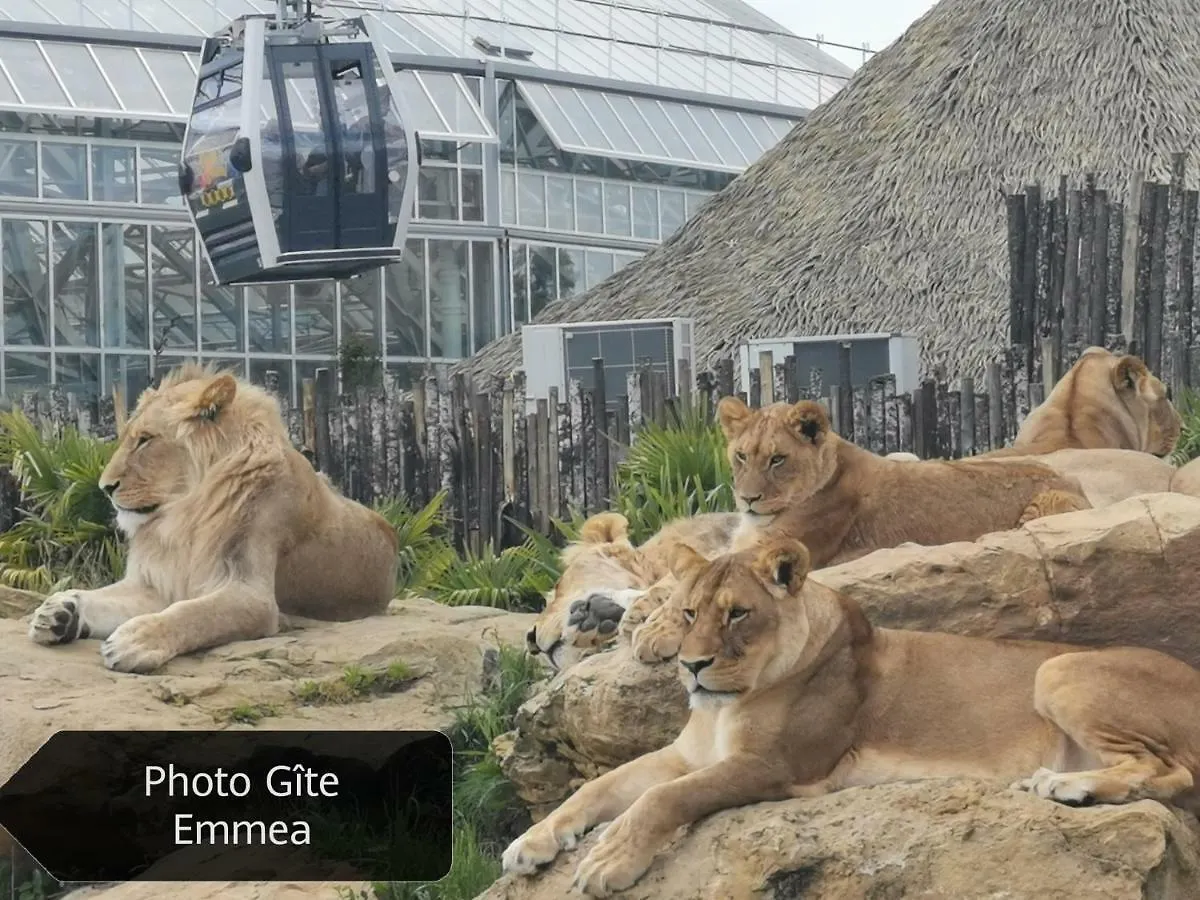Saint-Aignan  Gite Emmea Tres Proche Zoo De Beauval فرنسا